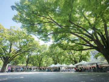 さっぽろライラックまつり イベント一覧 イベント ようこそさっぽろ 北海道札幌市観光案内