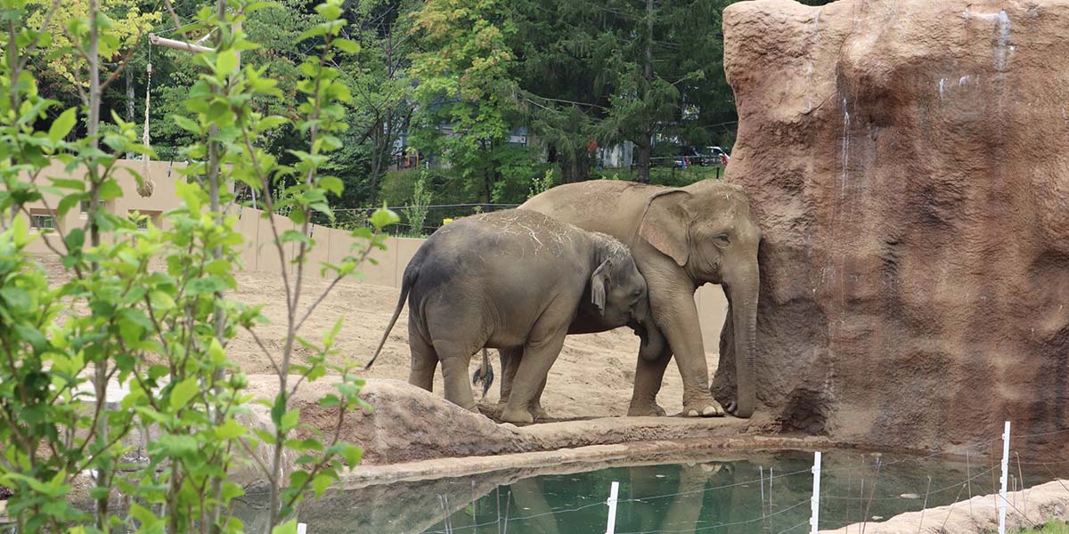 円山 動物園