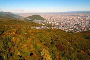 Menikmati hasil panen tanah luas Hokkaido dan cita rasa bahan makanan musiman, serta menikmati dedaunan musim gugur yang lebih dulu memerah dibandingkan di Pulau Honshu.|September – November