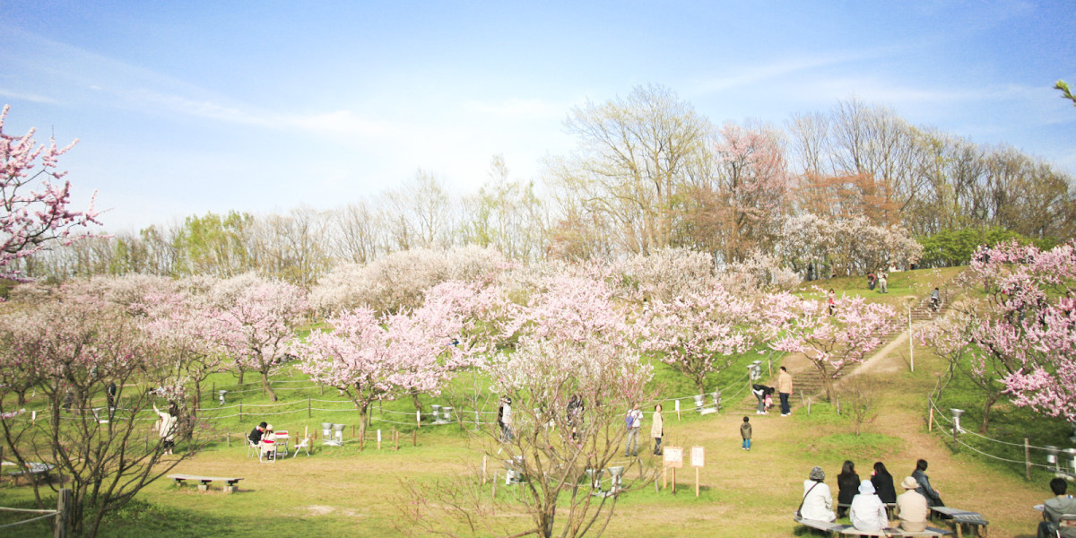 梅林 公園