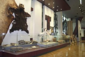 博物館 北海道 第７回特別展「あっちこっち湿地～自然と歴史をめぐる旅～」