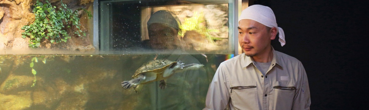Belajar tentang lingkungan alam Sapporo melalui reptilia dan amfibi. Staf kebun binatang di Kebun Binatang Maruyama, Naoya Honda
