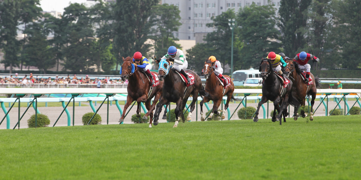 札幌競馬場