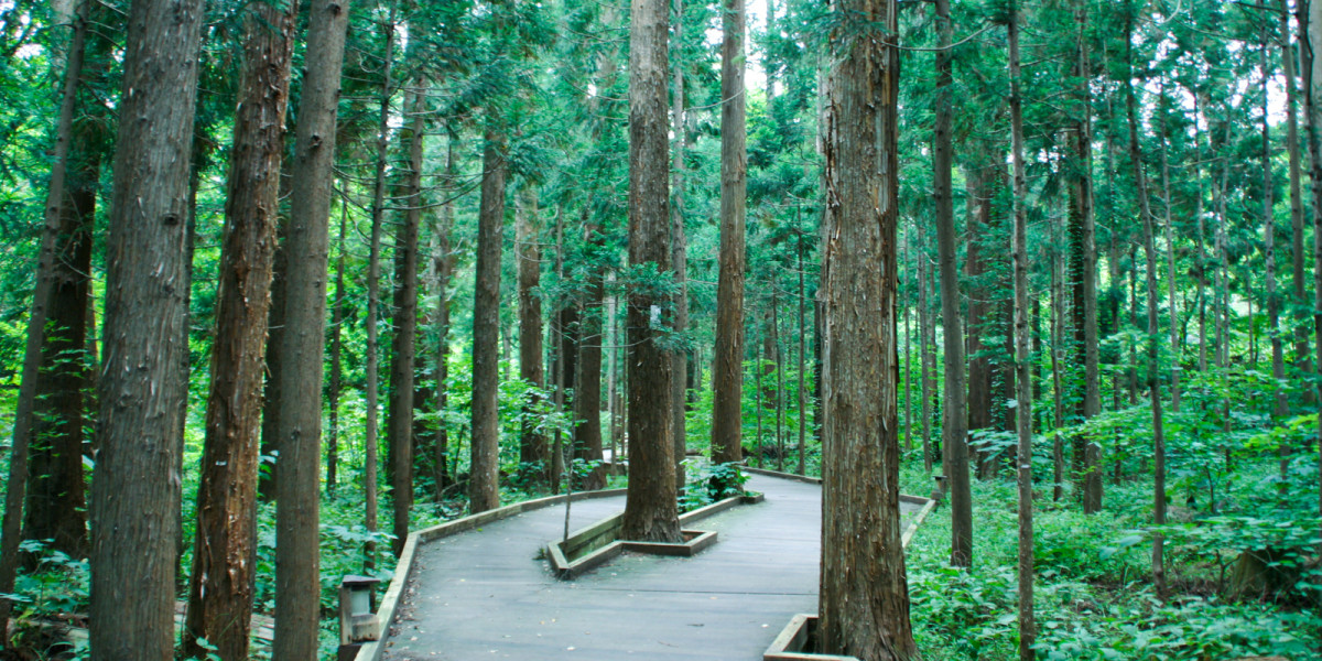 円山公園