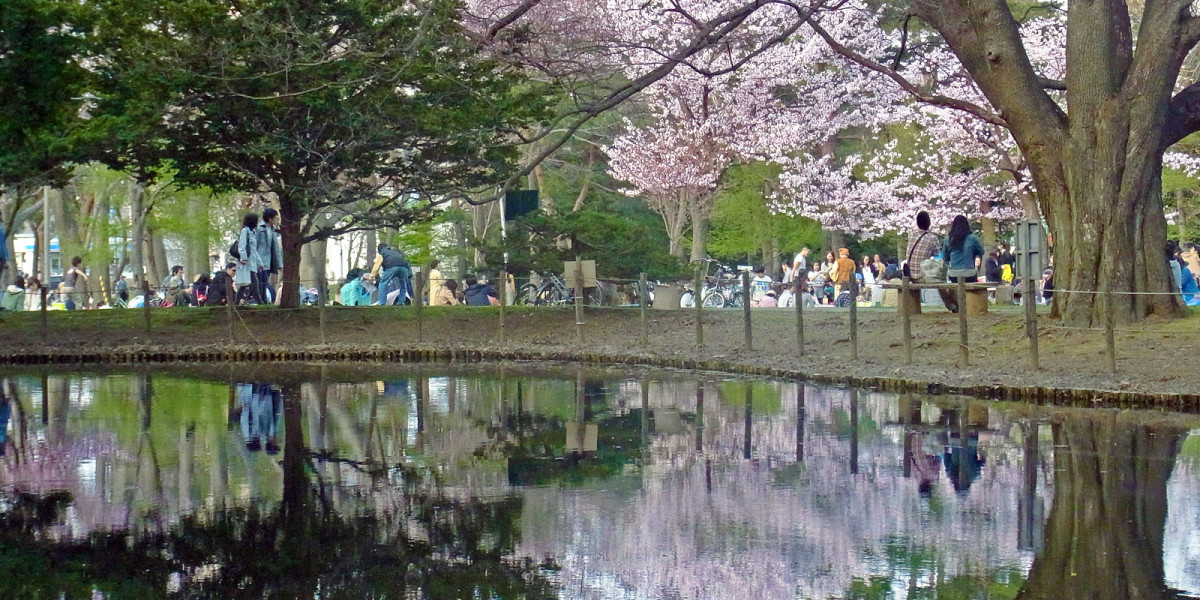 円山公園