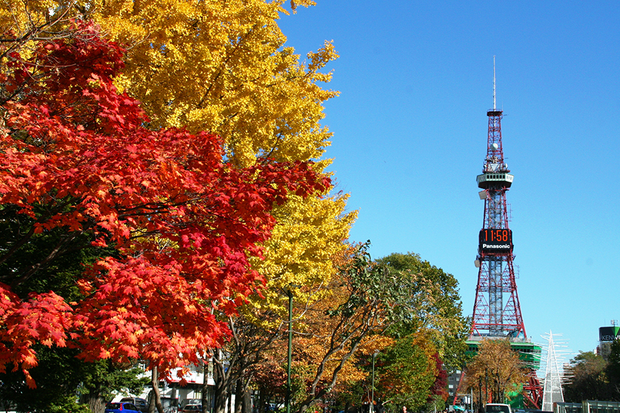 sapporo travel autumn