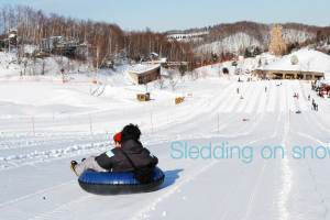 Siapa pun, baik anak-anak, orang dewasa, maupun wisatawan dapat menikmati bermain salju di Sapporo.