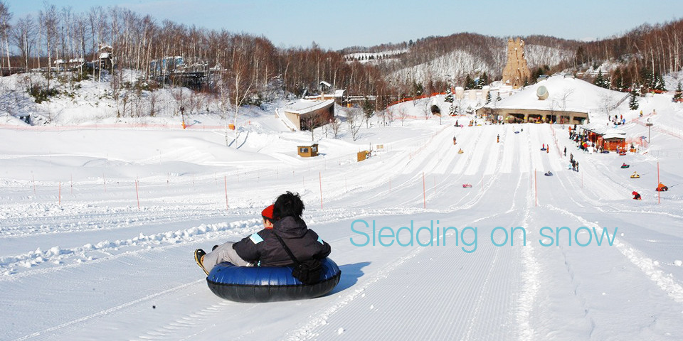 Everyone loves playing in the snow in Sapporo, including children, adults, and tourists!