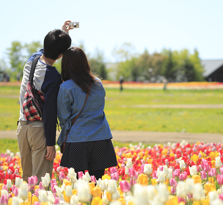 hokkaido may travel