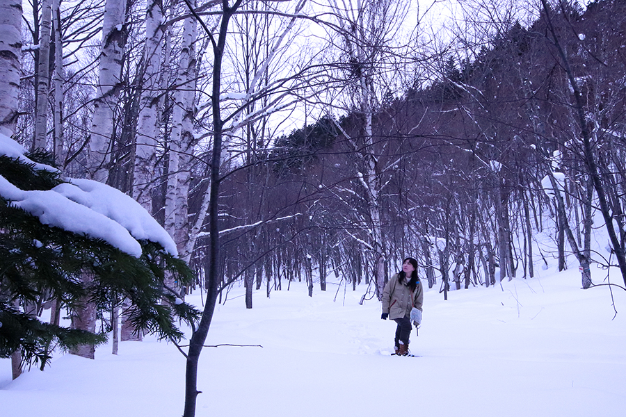 Sapporo Jozankei Nature Village Snowshoeing | List of Articles | Events ...