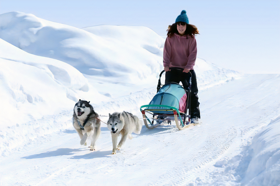 お得な冬遊びパック3種セット～犬ぞり・スノーモービル（約2.3Km)とバナナボートを一度に楽しめる！