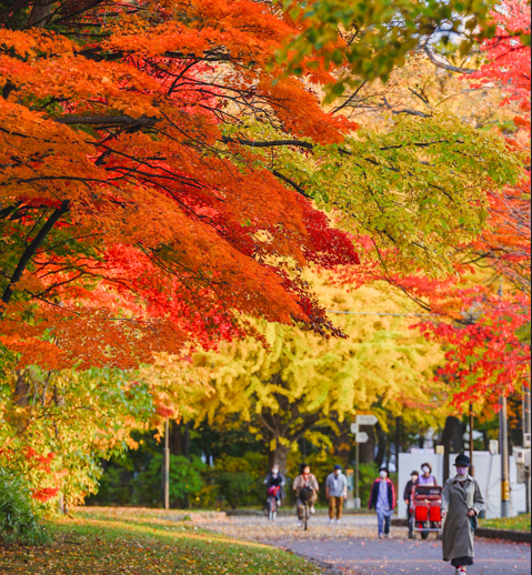11月に行きたい札幌市内のおすすめ紅葉スポット・個性派カフェ